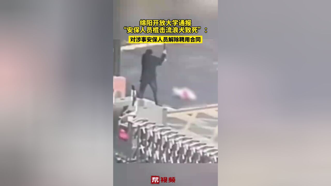 绵阳开放大学通报“安保人员棍击流浪犬致死”