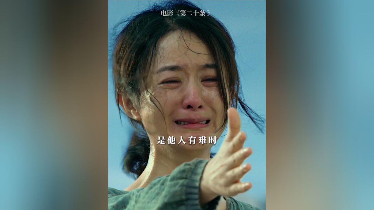 《第二十条》的意义是什么?