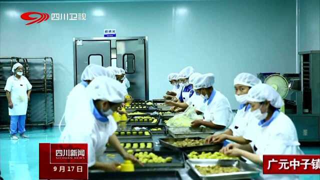 广元中子镇看1.8米大月饼