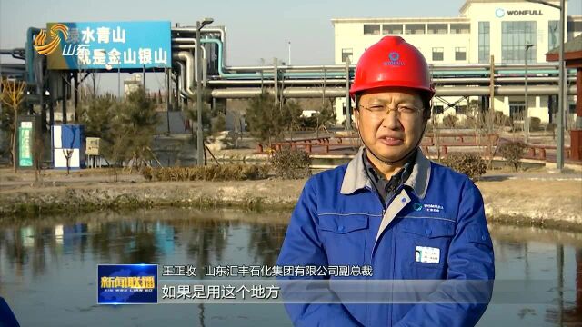 淄博:石化厂里建起人工湿地