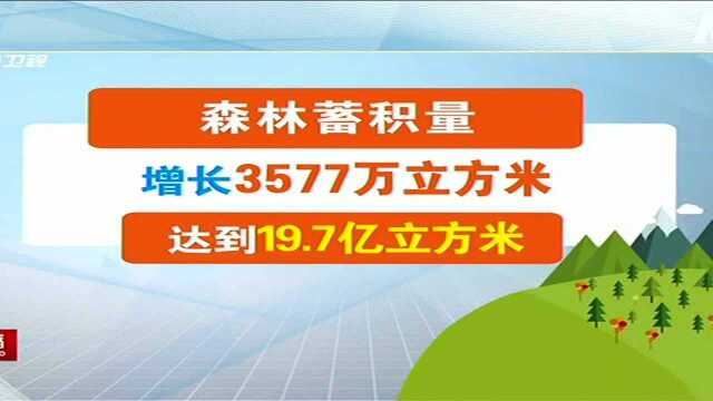 我省高质量推进林业和草原发展 今年内将完成营造林800万亩