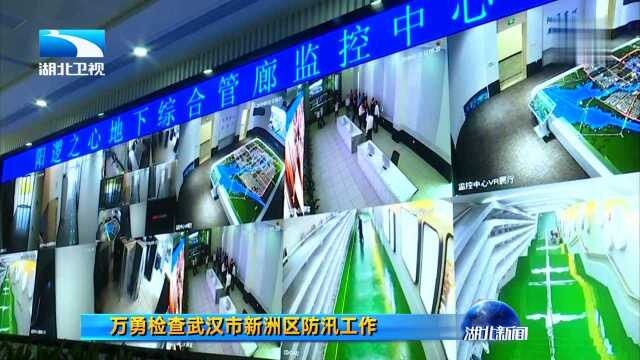 万勇检查武汉市新洲区防汛工作