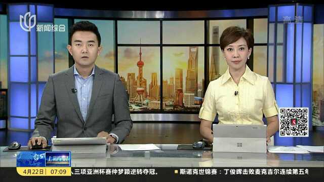 班达拉奈克机场暂停所有国内航班 国际航班暂照常运行