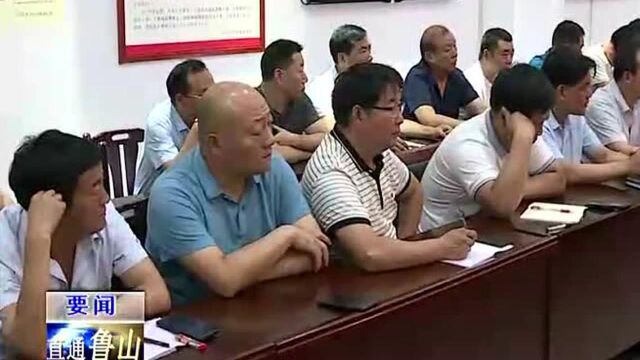 河南省义务教育发展基本均衡县鲁山评估验收反馈会召开