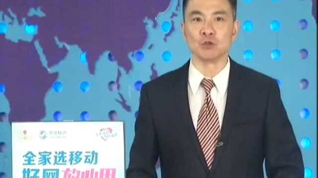 中原文化大舞台走进遂平县