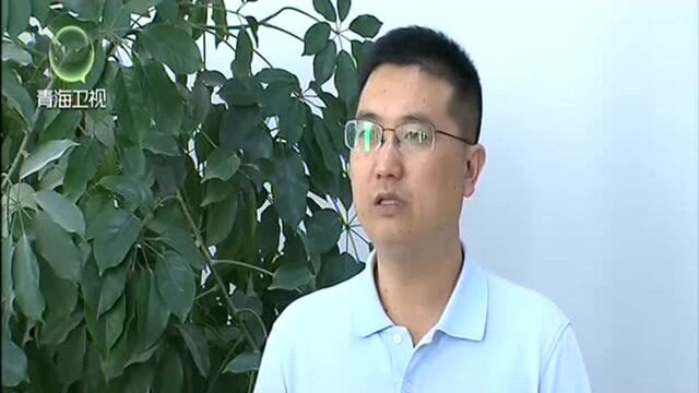 青海:持续高质量推进全省新型城镇化建设