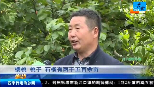 壮丽70年 奋斗新时代 丹江口:绿水青山显魅力 生态旅游谱新篇