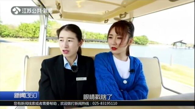 游遍江苏:盐城野奢之旅——动物版《权利的游戏》上演!看麋鹿们的“爱恨情仇”