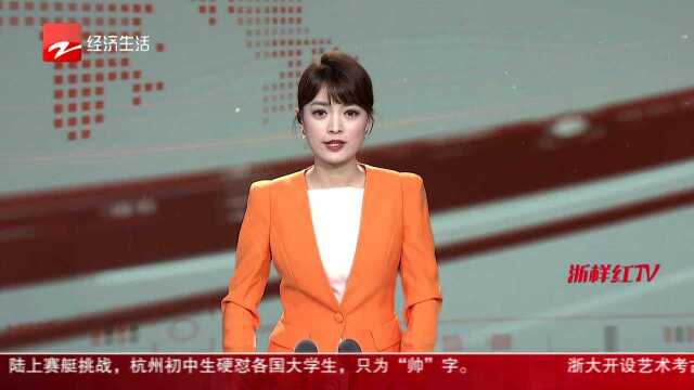 半年九千万笔 移动支付看“浙”里