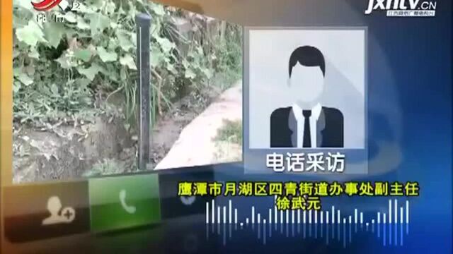 鹰潭月湖区:农饮工程成摆设 接通自来水需要重新铺水管?