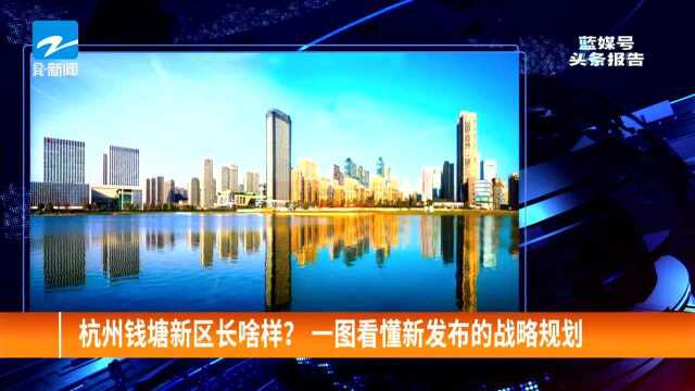 杭州钱塘新区长啥样? 一图看懂新发布的战略规划