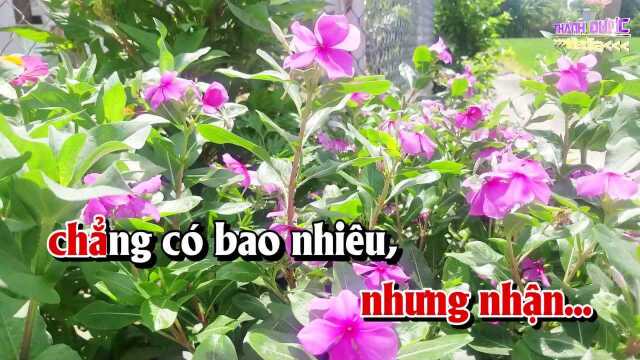 䐡𛫮g N㳩 Xa Nhau  Tone Nữ