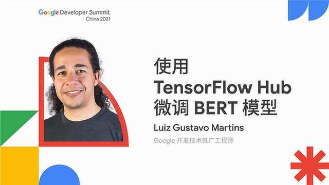 使用 TensorFlow Hub 微调 BERT 模型