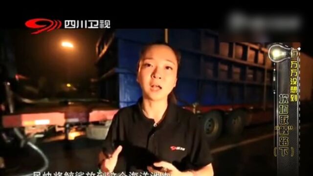 坎坷取“鲸”路高光片段