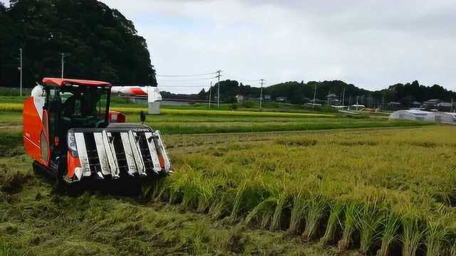 久保田新款收割机,收割稻谷效果不错,不知道价格咋样呢?