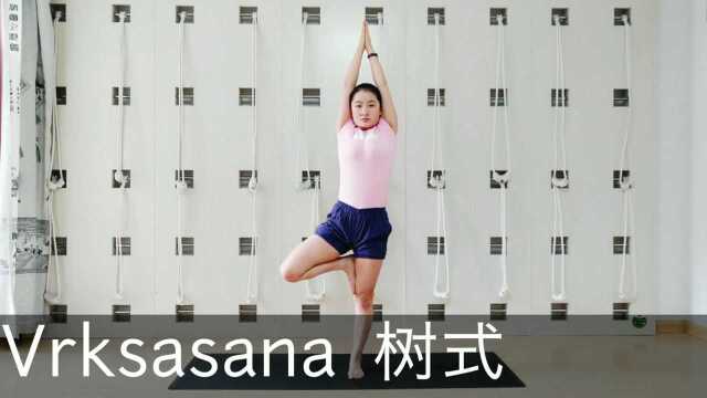 瑜伽站立体式—Vrksasana 树式