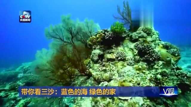 中国最年轻城市之一:海南三沙市实在太美了 真想明天去旅游