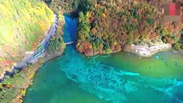 高清航拍,四川第一美景“九寨沟”真的像人间仙境!