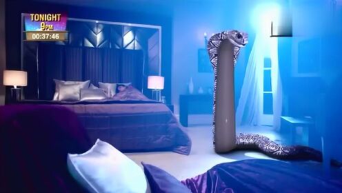 梦境解析，与巨蛇共寝的奇妙夜晚