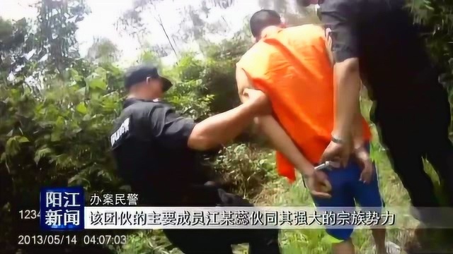 阳西一涉黑犯罪组织被摧毁