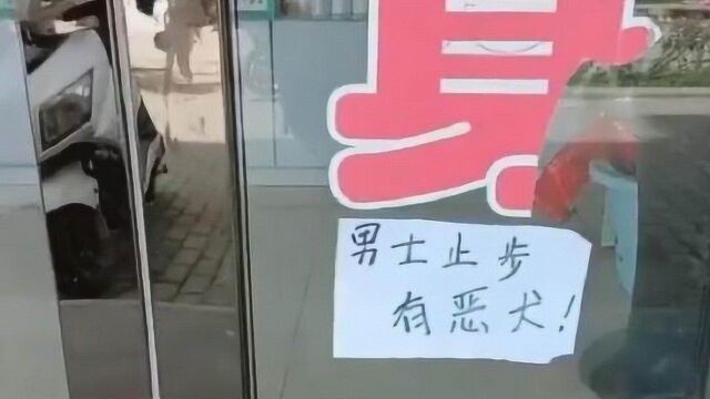 店家为了招揽顾客,门口拴有“恶犬”,网友一看笑哭:简直太萌了