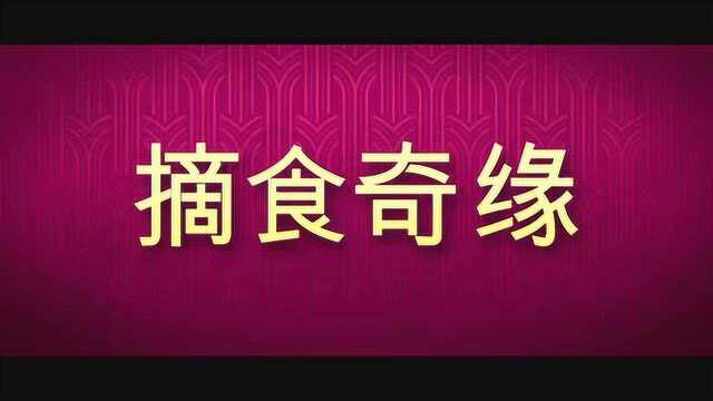 亚洲版威廉王子,北美版《小时代》?这部片子含金量忒高