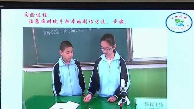 王晓杰 观察人的口腔上皮细胞 说课