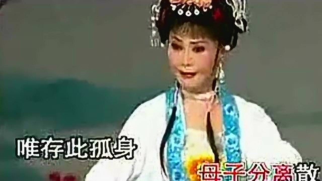 潮剧《一草一木感情深》李玉兰