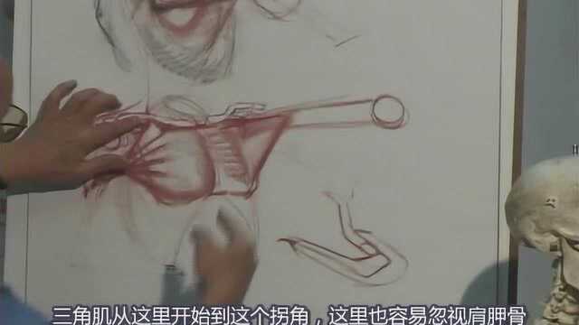 6.Glenn Vilppu 经典躯干解剖素描教学视频,中文字幕版!