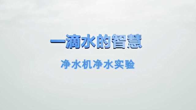 国安社区海尔施特劳斯净水实验