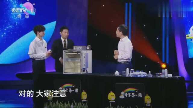 开学第一课王源挑战无壳孵化小鸡实验,给小鸡起名“小幸运”