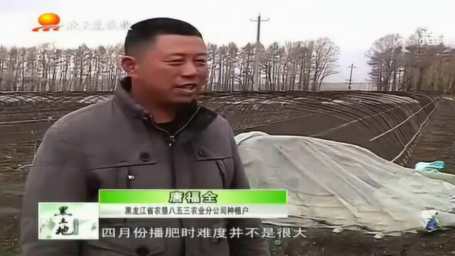 农户种使用炭基肥种的水稻大丰收了 不仅省肥还成熟早