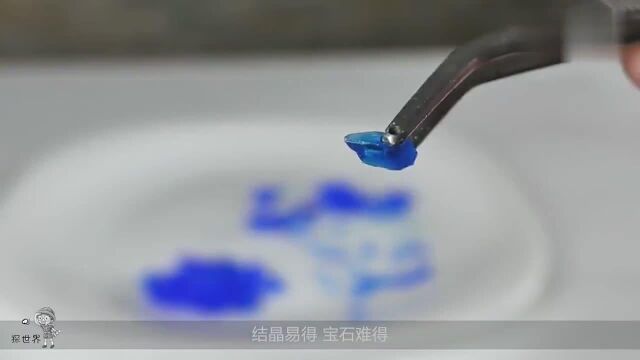 如何自制一块蓝水晶?神奇的蓝水晶生长过程,在家也可以做出来