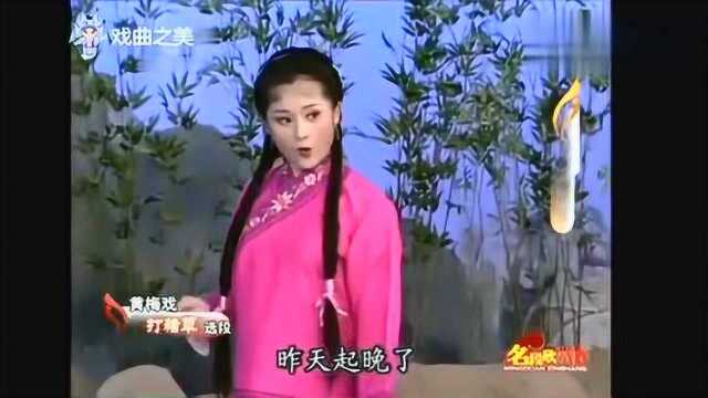 国家一级演员教授茆建林演唱黄梅戏打猪草选段