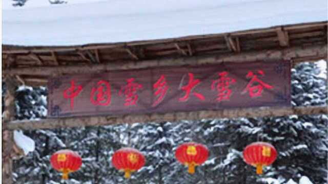 当地林业局回应雪乡明码标价引争议:价格已降,880一晚不算贵