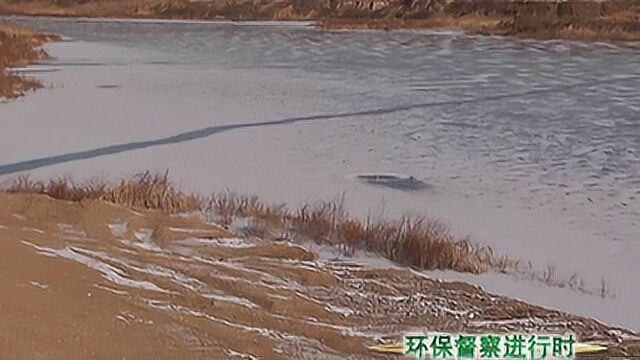 双阳区依法对饮马河双阳段河道采砂行为进行整治