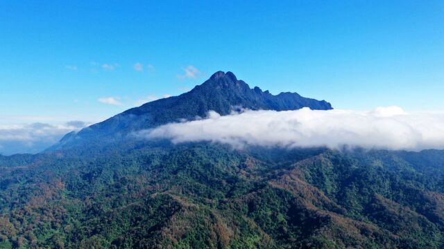 航拍海南第一高山五指山,孙悟空是不是压在此山呢?