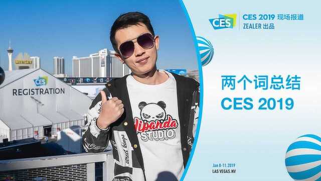 两个关键词总结 CES 2019 CES 2019 总结报道