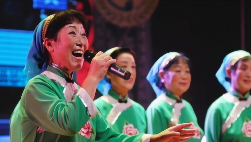 Thumbplayer Poster Plugin Image