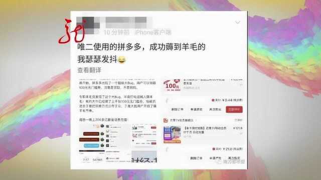 拼多多出现系统漏洞遭哄抢,这事你怎么看?