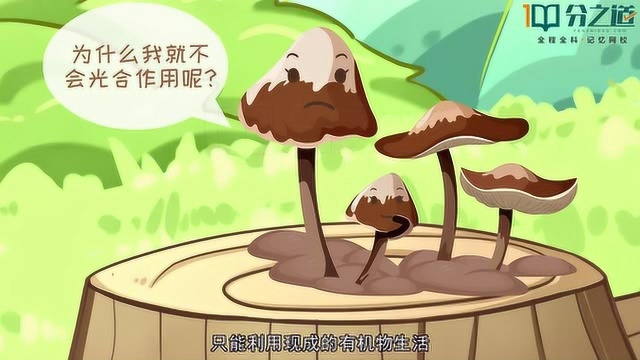 用思维导图教你轻松认识初中生物难点《真菌》