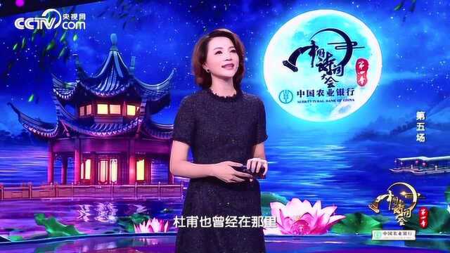 《中国诗词大会》杨柳青青江水平,闻郎江上唱歌声