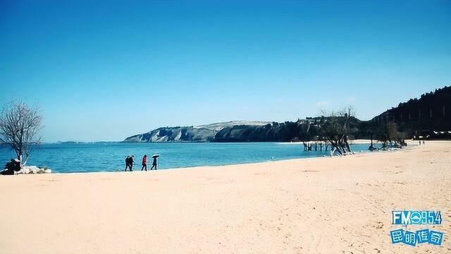 昆明南滇池湿地公园