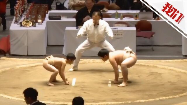 日本中小学生相扑大赛开赛 四年级学生以小博大赢得满堂彩