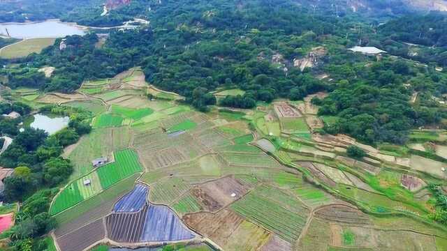 创业新农人,黑峰农场主的故事!