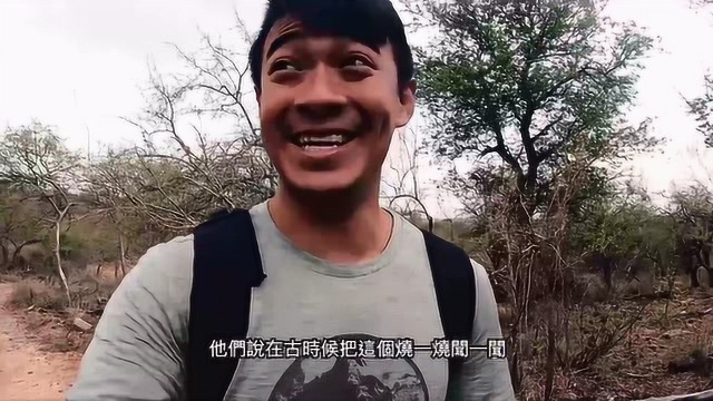 男子去南非旅行,在野生动物园寻找非洲5霸,真是会玩呀!