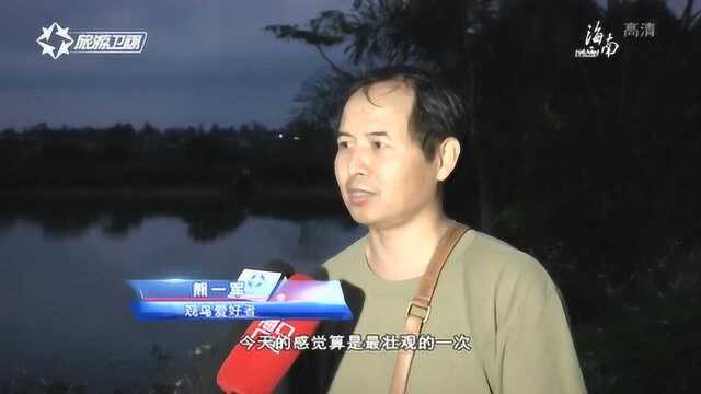 滚滚“鸟浪”现身海南东寨港自然保护区