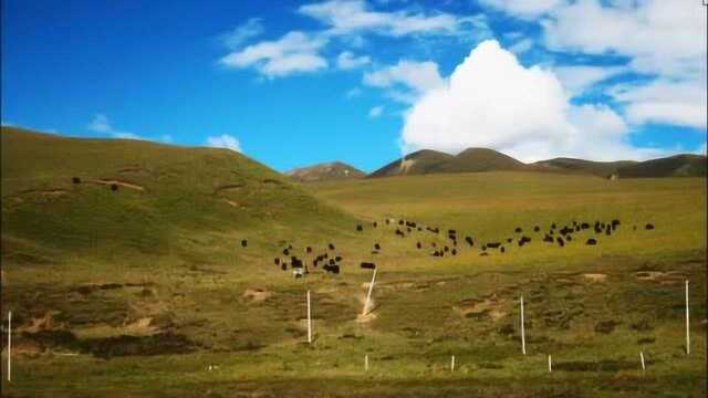 纪录片西藏之旅自驾游第四集毛垭大草原