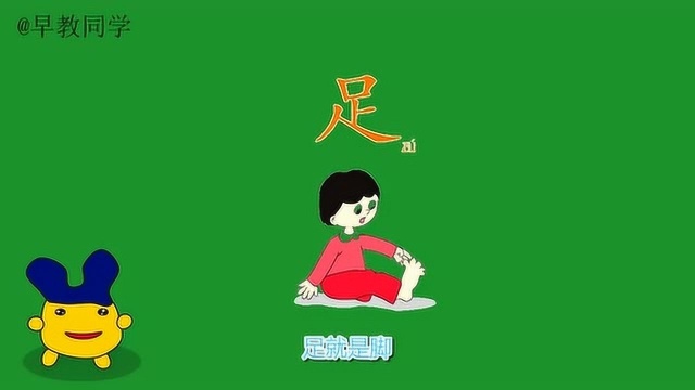 幼儿学字系列之小豆学汉字:足