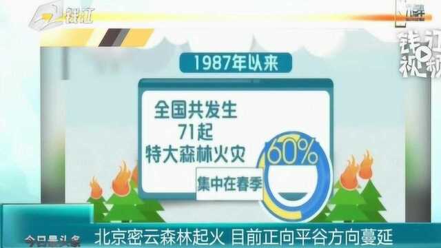 北京密云森林起火 目前正向平谷方向蔓延